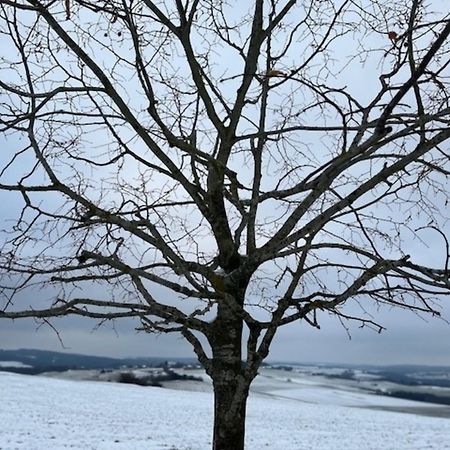 Eifel-Bau-Traum Schlich Villa Wershofen Exteriör bild